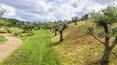 Toscana Immobiliare -  Luxusanwesen mit 5 Gebäuden, Nebengebäuden, 34 ha Land, Schwimmbad, Tennisplatz und künstlichem See in der Toskana zu verkaufen