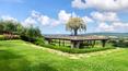 Toscana Immobiliare - Le domaine est immergé dans la campagne toscane, parsemée de vignobles et d'oliveraies