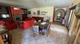 Toscana Immobiliare - Charmante Bauernhäuser mit Pool und 11 ha Land in Umbrien zu verkaufen