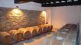 Toscana Immobiliare -