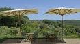 Toscana Immobiliare - Propriété de prestige à vendre en Maremme