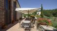 Toscana Immobiliare - Propriété de prestige à vendre en Maremme