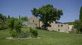 Toscana Immobiliare - Farmhouse for sale in Maremma Grosseto