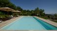 Toscana Immobiliare - Luxury estate with two villas, a wooden annexe and a 1.5 ha private park with swimming pool for sale in the province of Grosseto, Tuscany.