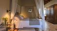Toscana Immobiliare - Prestigiosa proprietà in vendita in Maremma Grosseto Toscana