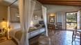 Toscana Immobiliare - Farmhouse with farmhouses and swimming pool for sale in Maremma grosseto