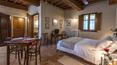 Toscana Immobiliare - Farmhouse with farmhouses and swimming pool for sale in Maremma grosseto