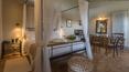 Toscana Immobiliare - Farmhouse with farmhouses and swimming pool for sale in Maremma grosseto