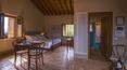 Toscana Immobiliare - Farmhouse with farmhouses and swimming pool for sale in Maremma grosseto