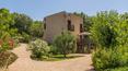 Toscana Immobiliare - Luxury estate with two villas, a wooden annexe and a 1.5 ha private park with swimming pool for sale in the province of Grosseto, Tuscany