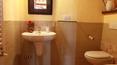 Toscana Immobiliare - Farm with holiday home and land for sale in Montalcino Siena Tuscany