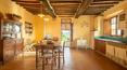 Toscana Immobiliare - Azienda agricola con casa vacanza e terreni in vendita a Montalcino Siena