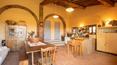 Toscana Immobiliare - Azienda agricola con casa vacanza e terreni in vendita a Montalcino Siena