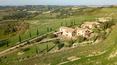 Toscana Immobiliare - Azienda agricola con casa vacanza e terreni in vendita a Montalcino Siena
