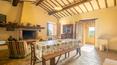 Toscana Immobiliare - Azienda agricola con casa vacanza e terreni in vendita a Montalcino Siena