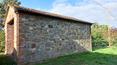 Toscana Immobiliare - Farm with portion of farmhouse, 3 restored flats, farm outbuildings and 3 ha of land with olive grove