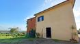 Toscana Immobiliare - Azienda agricola in vendita a Lucignano