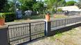 Toscana Immobiliare - Villas and farmhouses in need of renovation in Tuscany