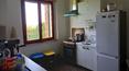 Toscana Immobiliare - Ferme avec partie du corps de ferme, 3 appartements restaurés, dépendances agricoles et 3 ha de terrain avec oliveraie