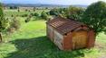 Toscana Immobiliare - Azienda agricola con porzione di casale, 3 appartamenti ristrutturati, annessi agricoli e 3 ha di terreno con oliveto