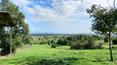 Toscana Immobiliare - Charming farm located in the heart of Valdichiana, in a hilly position just a few steps from Lucignano