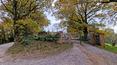 Toscana Immobiliare - Luxury villa, divided into two flats, with garden and olive grove for sale in the province of Siena