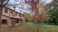 Toscana Immobiliare - Villa di lusso, suddivisa in due appartamenti, con giardino e oliveto in vendita in provincia di Siena