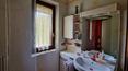 Toscana Immobiliare - Luxusvilla, aufgeteilt in zwei Wohnungen, mit Garten und Olivenhain in der Provinz von Siena zu verkaufen
