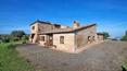 Toscana Immobiliare - Vendita Azienda agricola Montalcino Toscana
