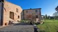 Toscana Immobiliare - Vendita Azienda agricola Montalcino Toscana