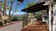 Toscana Immobiliare -