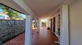 Toscana Immobiliare -