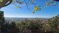 Toscana Immobiliare -
