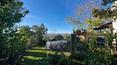 Toscana Immobiliare -