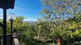 Toscana Immobiliare -
