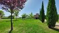Toscana Immobiliare - Maison de vacances à vendre en Ombrie