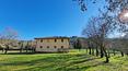 Toscana Immobiliare - The typical Tuscan estate comprises a main villa, a farmhouse and various outbuildings and sheds in need of renovation