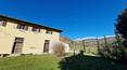 Toscana Immobiliare - Prestigious villas and farmhouses in Tuscany