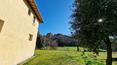 Toscana Immobiliare - Domaine toscan avec manoir, ferme, divers bâtiments à restaurer et 28 ha de terrain