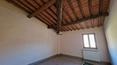 Toscana Immobiliare - Finca toscana con casa señorial, cortijo, varios edificios para restaurar y 28 ha de terreno