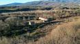 Toscana Immobiliare - Il complesso è circondato 24 ettari di seminativo ed è situato all’interno di u'azienda faunistica venatoria