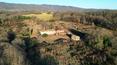 Toscana Immobiliare - Farmhouse to be renovated with barn, outbuildings and 24 ha of land for sale in Tuscany