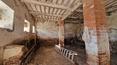 Toscana Immobiliare - Grundstück mit zu renovierendem Bauernhaus, Haus aus dem Jahr 1970, Nebengebäuden, Schuppen und 6,5 ha Land