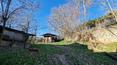 Toscana Immobiliare - Dieses charakteristische Bauernhaus verkörpert den ganzen Charme der toskanischen Landschaft