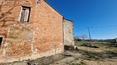 Toscana Immobiliare - Propriété avec ferme à rénover, maison des années 1970, annexes, hangar et 6,5 ha de terrain
