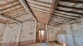 Toscana Immobiliare - Propiedad con cortijo para reformar, casa de 1970, anexos, cobertizo y 6,5 ha de terreno