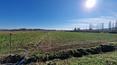 Toscana Immobiliare - Villas and farmhouses in the province of Arezzo
