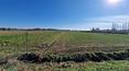 Toscana Immobiliare - This characteristic estate encompasses all the charm of the Tuscan countryside