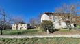 Toscana Immobiliare - Questo caratteristico podere racchiude tutto il fascino della campagna toscana