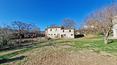 Toscana Immobiliare - Proprietà con casale da ristrutturare, casa degli anni ’70, annessi, capannone e 6,5 ha di terreno